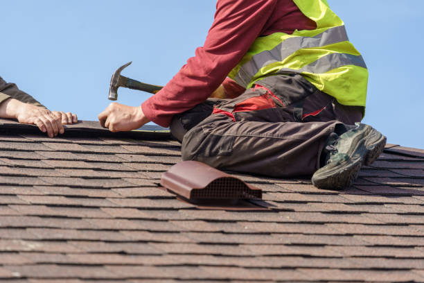 Professional Roofing Contractor in Candlewick Lake, IL