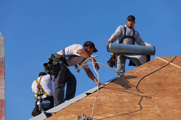 Best Best Roofing Contractors  in Candlewick Lake, IL