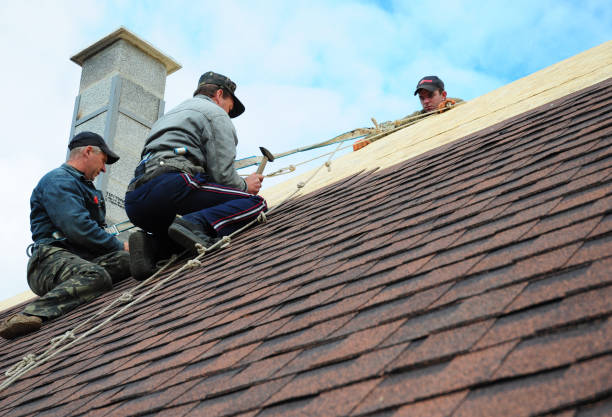 Best Best Roofing Contractors  in Candlewick Lake, IL